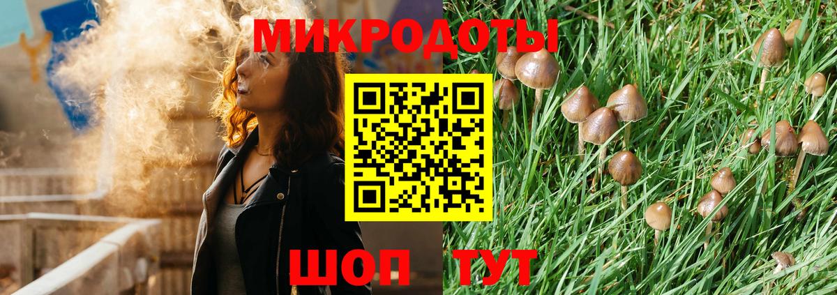 Псилоцибиновые грибы прущие грибы Псков
