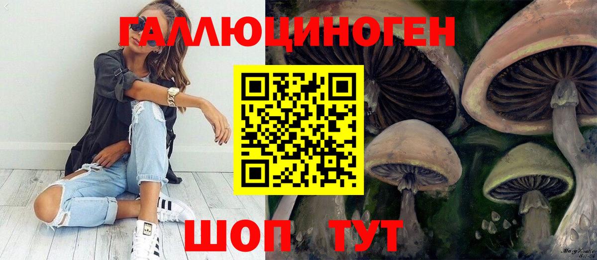 Псков  Галлюциногенные грибы GOLDEN TEACHER  Галлюциногенные грибы ЛСД  Вход с VPN 